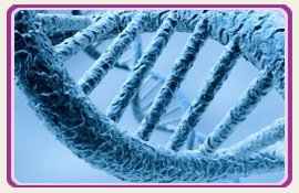 Fertility IVF DNA PlacidWay