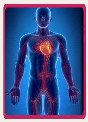 Top Heart Coronary Arthery Bypass Grafting Top Coronary Artery Bypass Graft In Bangalore India Package