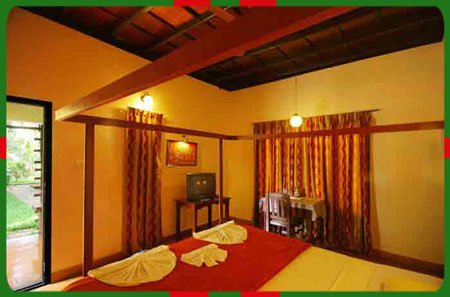 Specialized Ayurvedic treatment India Specialized Ayurvedic treatment India