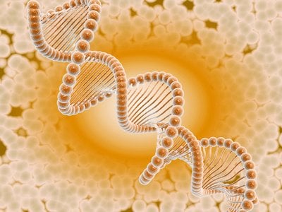 Tired of Waiting for a Bone Marrow Transplant?