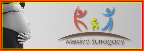 Mexico Surrogacy, Tabasco Mexico Surrogacy, Tabasco