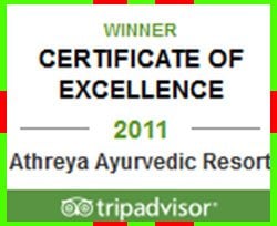 2011 Excellence Award 2011 Excellence Award