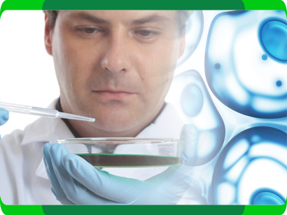 Affordable Stem Cell Therapy