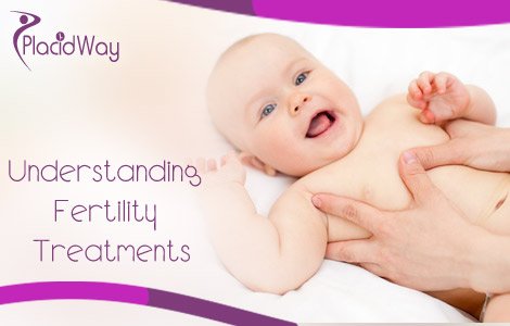 Understanding Fertility Treatments Understanding Fertility Treatments