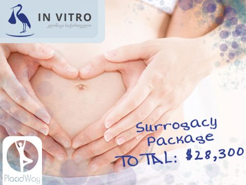 Surrogacy Package Price - PlacidWay