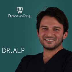 Dr. Alp Erdem