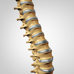 Get the Best Spine Care Surgery in Tijuana, Mexico