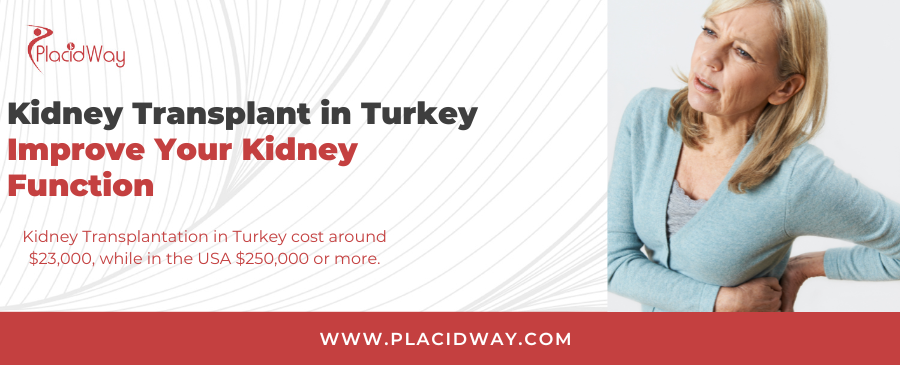 Kidney Transplant in Turkey - Improve Your Kidney Function