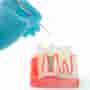 About Dental Tourism and Dentists in Los Algodones with A Gutierrez from Sani Dental Mexico