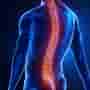 10 High Rated Spine Surgeons in the World - Patient Rankings