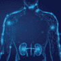 10 Highly Rated Urologist in the World by Patients