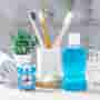 Ensuring Quality and Safety: Cancun’s 2025 Dental Accreditation and Licensing Requirements