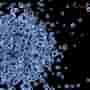 Why CAR T-Cell Therapy is Gaining Attention for Autoimmune Diseases
