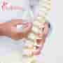 Spine Surgery in Mexico-Truth behind affordability & quality