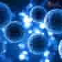 Why Stem Cell Therapy in Mexico & Colombia Is Becoming the Go-To Choice for Canadians