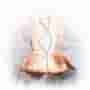 Read about MS Stem Cell Treatment in Ukraine