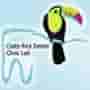 Logo of Costa Rica Dental Clinic Lab