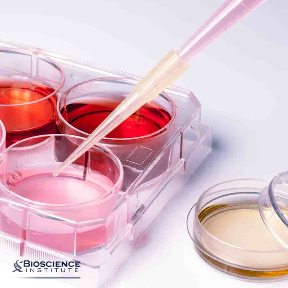 Bioscience Clinic Reviews in Dubai, UAE Slider image 3