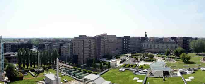 San Raffaele Hospital in Milan, UAE Reviews from Real Patients Slider image 1