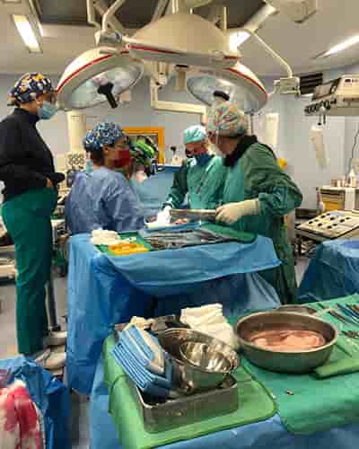 Hospital Tor Vergata in Rome, UAE Reviews from Real Patients Slider image 4