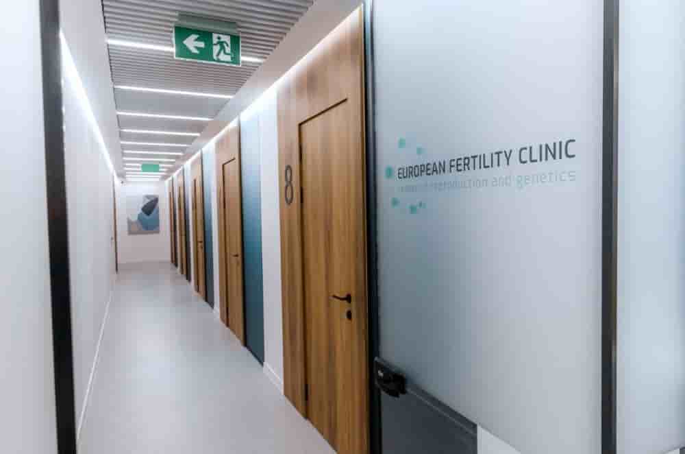 European Fertility Clinic in Tbilisi, Georgia Reviews from Real Patients Slider image 5