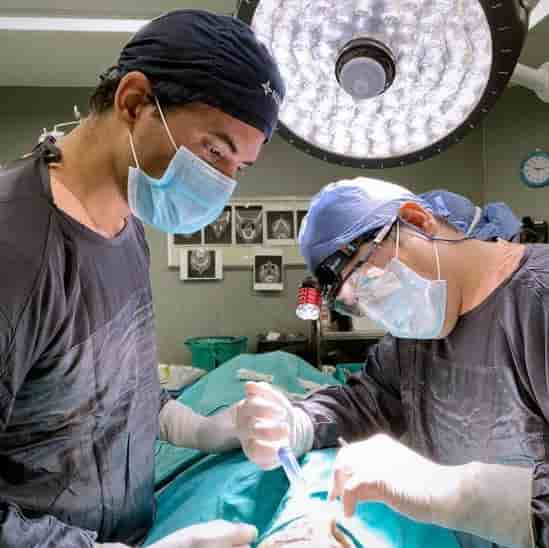 Dr. Pedro Literas in Cabo San Lucas, Mexico Reviews from Real Patients Slider image 7