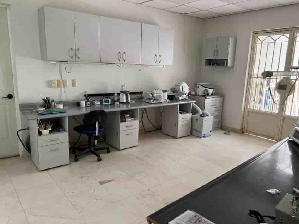 PV Smile in Puerto Vallarta Mexico Reviews from Dental Patients Slider image 4