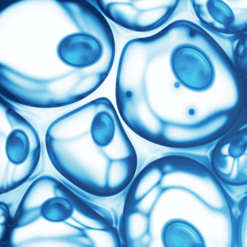 Stammzelltherapie für ALS in Mexiko-Stadt, Mexiko, in der MexStemCells-Klinik