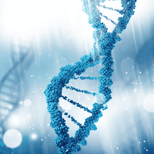 Best Stem Cell Therapy Package for MS in United States