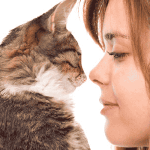 Best Package for Nose Surgery Rhinoplasty in Colombia