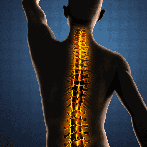 Endoscopic Discectomy Surgery in Bursa/İstanbul, Turkey