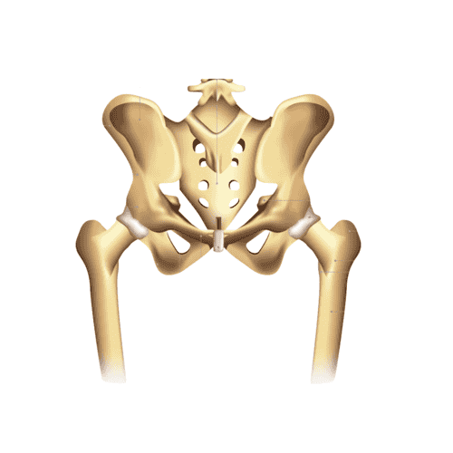 Stem Cell Therapy for Osteoarthritis in India – Package by GIOSTAR Hospital Bengaluru