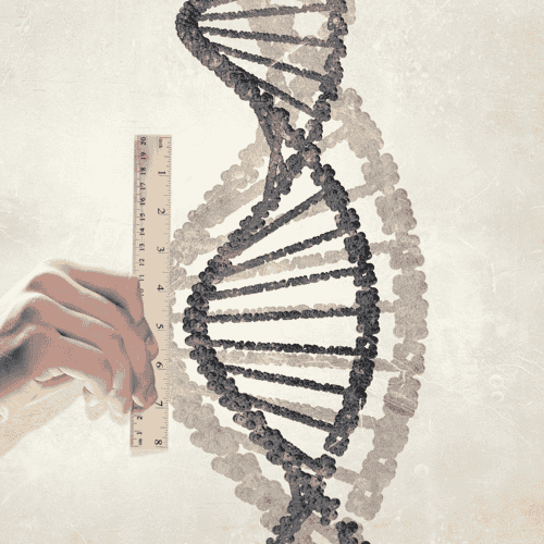 Affordable Stem Cell Therapy For Parkinson's in the Czech Republic