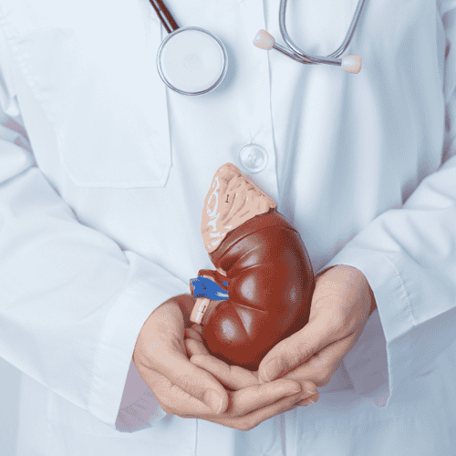 Kidney Transplant in Turkey by Baskent University Istanbul Hospital