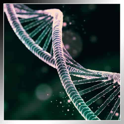 Placenta Implant for Skin and Organ Revitalization in Cabo San Lucas, Mexico