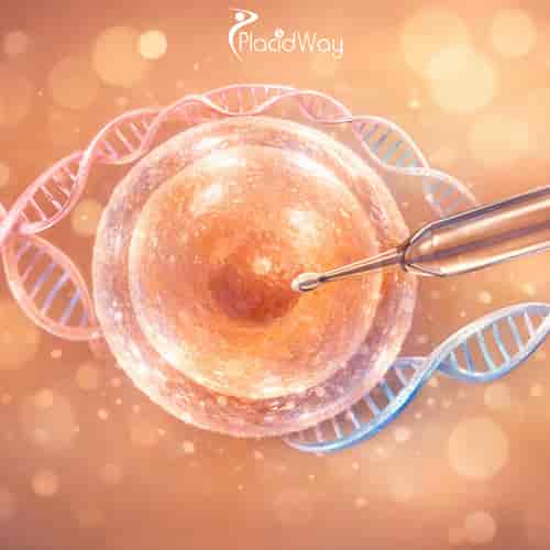 ICSI Package with Gender Selection by Deep & Harmonicare (DHC) IVF Center 
