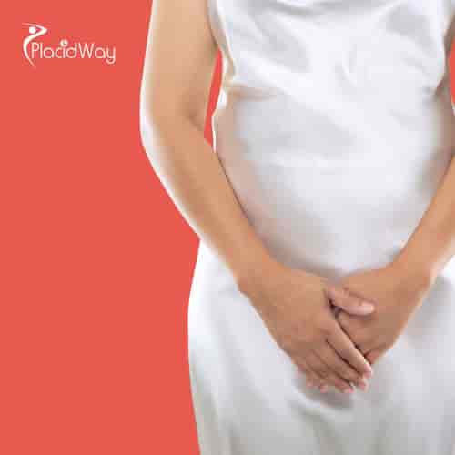 Myomectomy Package in Istanbul, Turkey at Medical Park Hospitals