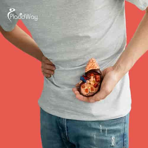 Stem Cell Therapy for Chronic Kidney Disease Package in Tijuana, Mexico by CellsTime Clinique
