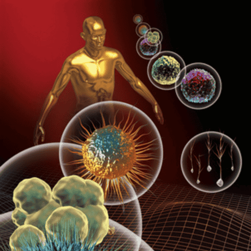 Progencell - Stem Cell Therapies