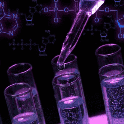 Cancer Stem Cell Treatment Package in Mexico