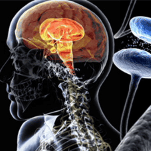 All Inclusive Stem Cell Therapy for Vascular Disease Package in Vienna, Austria