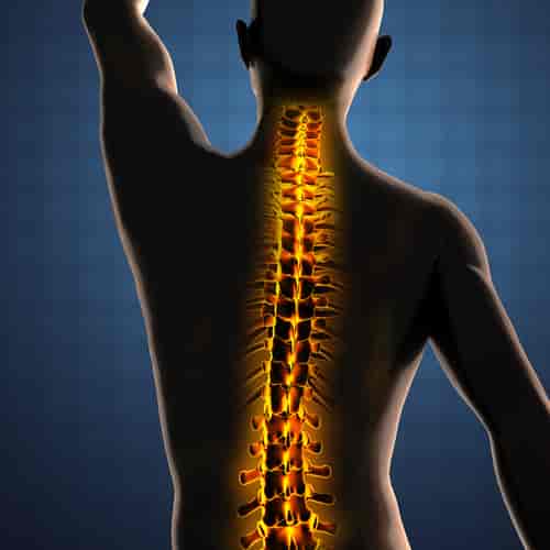 Endoscopic Discectomy Surgery in Bursa/İstanbul, Turkey