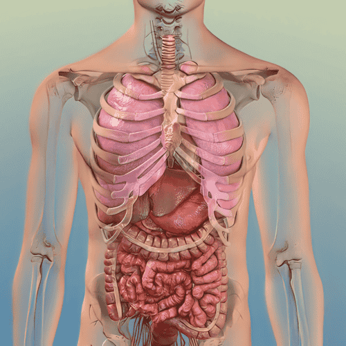 Alternative Cancer Treatment by ITC - Immunity Therapy Center