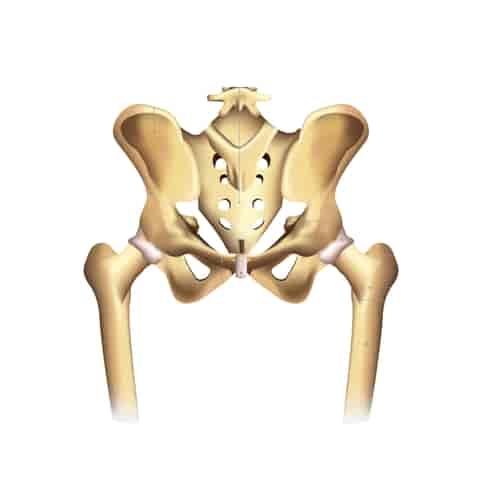 Stem Cell Therapy for Osteoarthritis in India Package By GIOSTAR Hospital