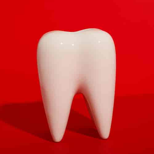 Dental Implants Los Algodones: All on 6 Package by The Prostho Studio in Mexico