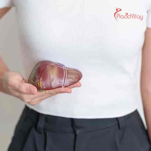 Stem Cell Therapy for Liver Cirrhosis Package at MexStemCells Clinic, Mexico City, Mexico