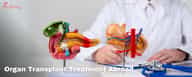 Organ Transplant