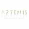 Logo of Artemis Hospitals - Multispecialty Center in India