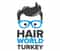 Logo of Hair World Turkey