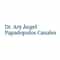Logo of Dr. Ary Papadopulos - Plastic Surgery in Mexico City